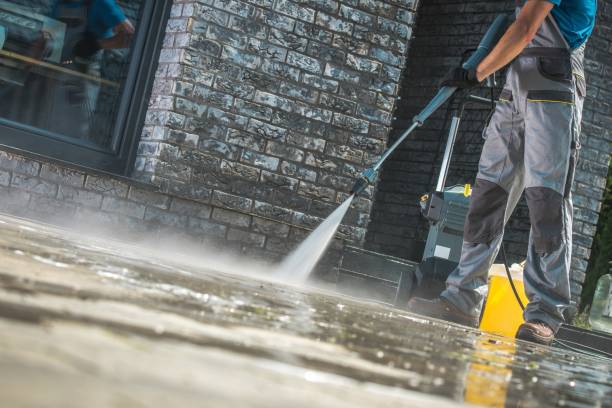 Best Roof Washing  in Montrose, PA